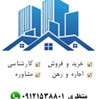 مشاور سید علیرضا منتظری پروفایل