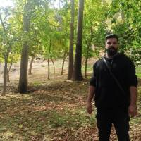 سیدمحمد موسوی پروفایل