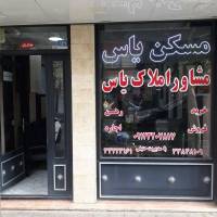حامد حنیفی پروفایل