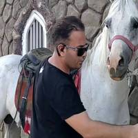 reza bahram پروفایل