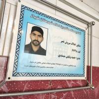 حمید وثیقی پروفایل