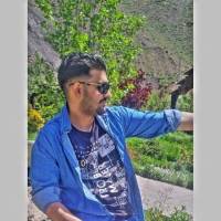 سید محمدرضا نیکخواه پروفایل