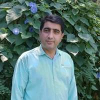 محمد ایلانی پروفایل