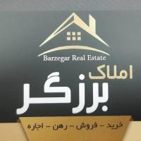 مشاور محمد برزگر پروفایل