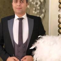 مجتبی فرهمند پروفایل