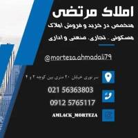 مرتضی پروفایل