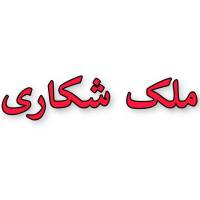  ماهان محبی ملک شکاری  پروفایل