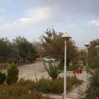 محمد پروفایل
