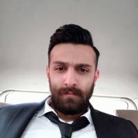 محمدرضا امینی پروفایل