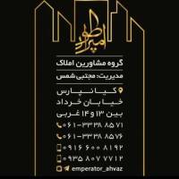 محمد صالحی پروفایل