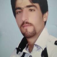 حمید جلیلوند پروفایل