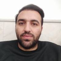 امیر حسین عنصری پروفایل