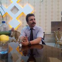 داود ویسی پروفایل