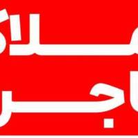 محمد گنبدی پروفایل