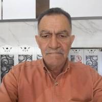 داود پورزند  پروفایل