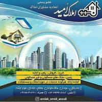 امید فاضلی پروفایل