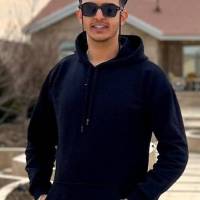 مهدی مقدم  پروفایل