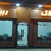 محمود رضا ربیعی پروفایل