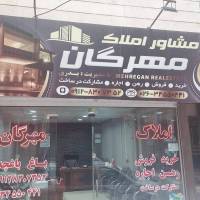 محمدحسین بدری پروفایل
