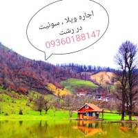  ضرابی پروفایل