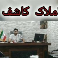 حمید محمدی کاشف پروفایل