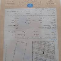 علی کردانی پروفایل