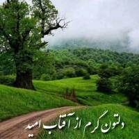 محمد تقی جهانگیری پروفایل