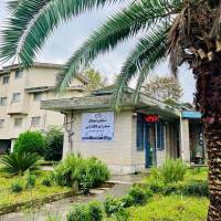 امیرحسین محمدنژاد پروفایل