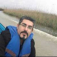 مهدی امینی پروفایل