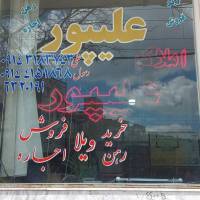 علی علیپور پروفایل