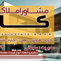 علی سلیمانی کاخ پروفایل