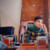 سیدمحمد علی حسینی پروفایل
