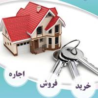 قربانی پروفایل