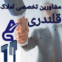 علیرضا قلندری پروفایل