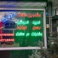 رضا بیرنگ پروفایل