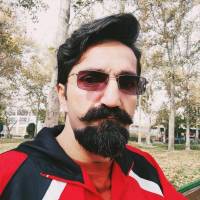 امیر دولتیان پروفایل