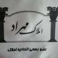علی خانلری پروفایل