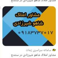 شاهو شیرزادی پروفایل