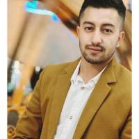 امیر شامرادی  پروفایل