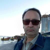 علی بهارلو  پروفایل