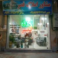 نیما محمودی پروفایل