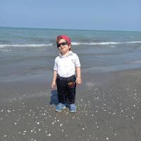 شاهان پروفایل