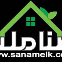 رضاشاهی پروفایل