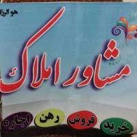 مشاور آژانس دولت سرا پروفایل