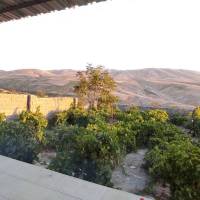 مهدی حمیدی پروفایل
