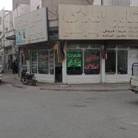 محمد پرنلو پروفایل