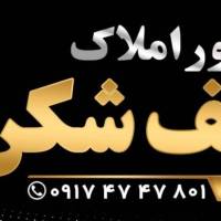 جواد صف شکن پروفایل