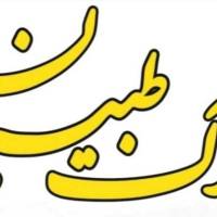 سید علی طبیبیان پروفایل