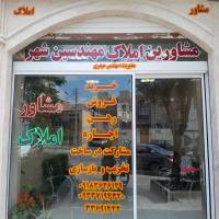 مرتضی حیدری پروفایل