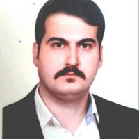 نوید مرشدی پروفایل